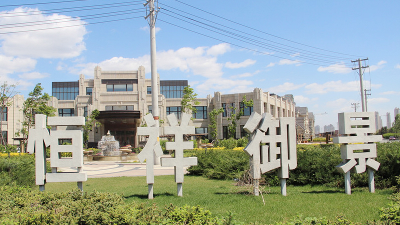Triple supply of Hengxiang Yujing high-end villa area in Songbei District, Harbin